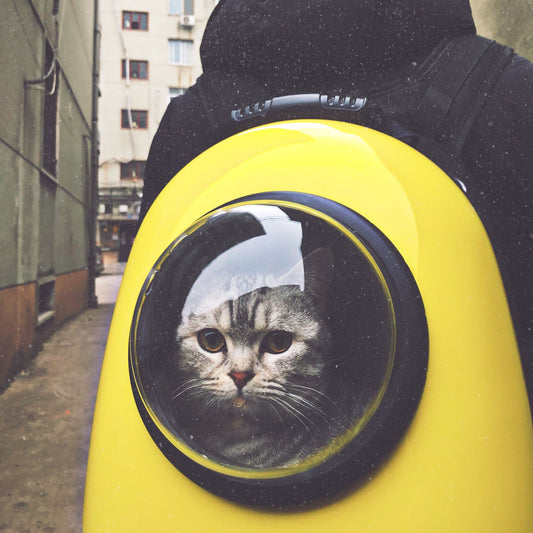webhook test 2